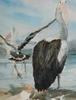 gal/watercolours/_thb_pelican6.jpg